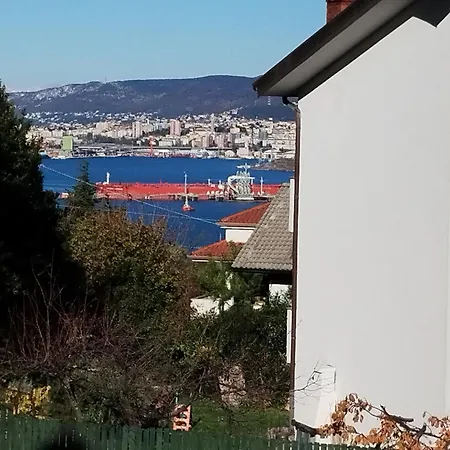 Veneta *